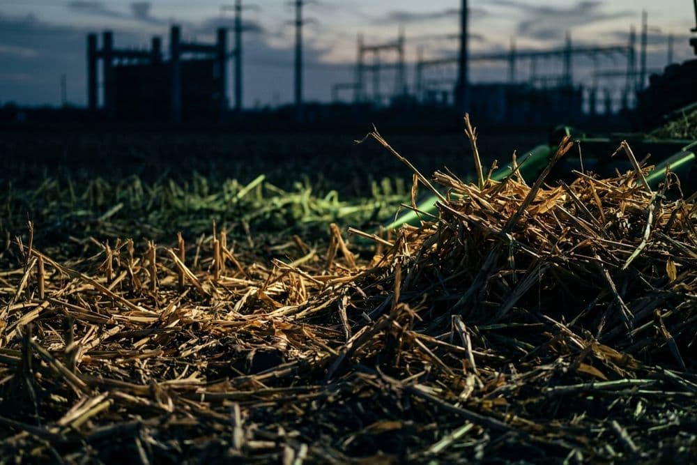 Agricultural Waste